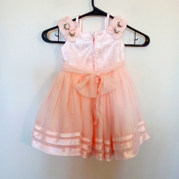 Beautiful Special Occasion Dress with Rosettes - Picture 5 of 10